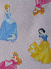 Disney Princess Apron
